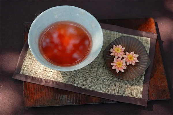 サボテン寄せ植えが枯れる前に知っておきたい、プロが教える3つのコツ