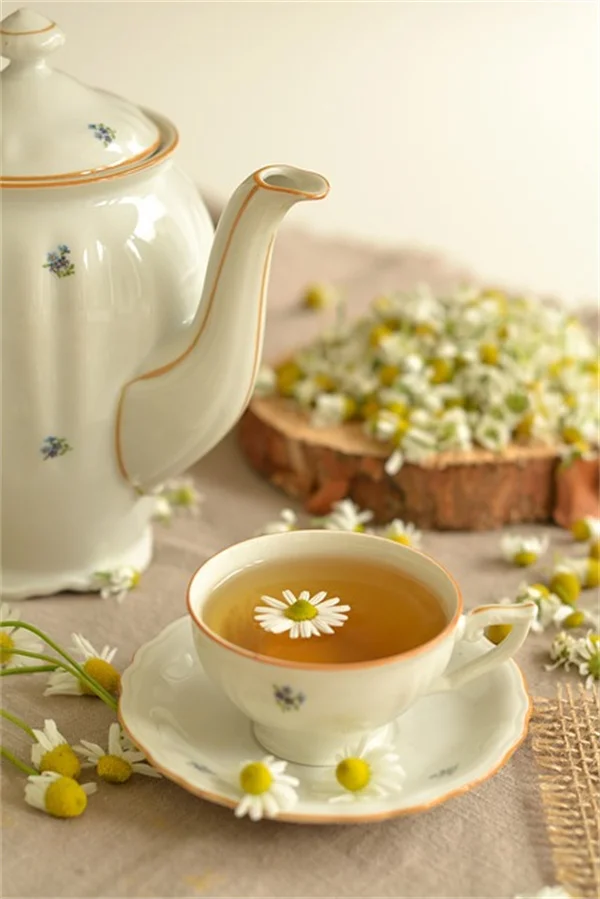 触接触症で苗が激変！30秒撫でるだけで茎が太くなる驚きの方法