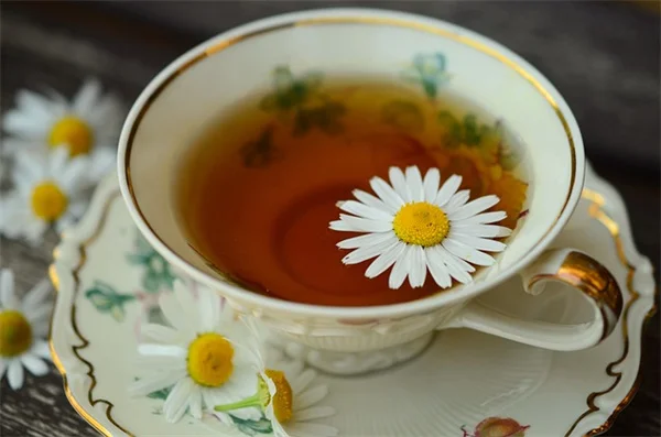 触接触症で苗が激変！30秒撫でるだけで茎が太くなる驚きの方法