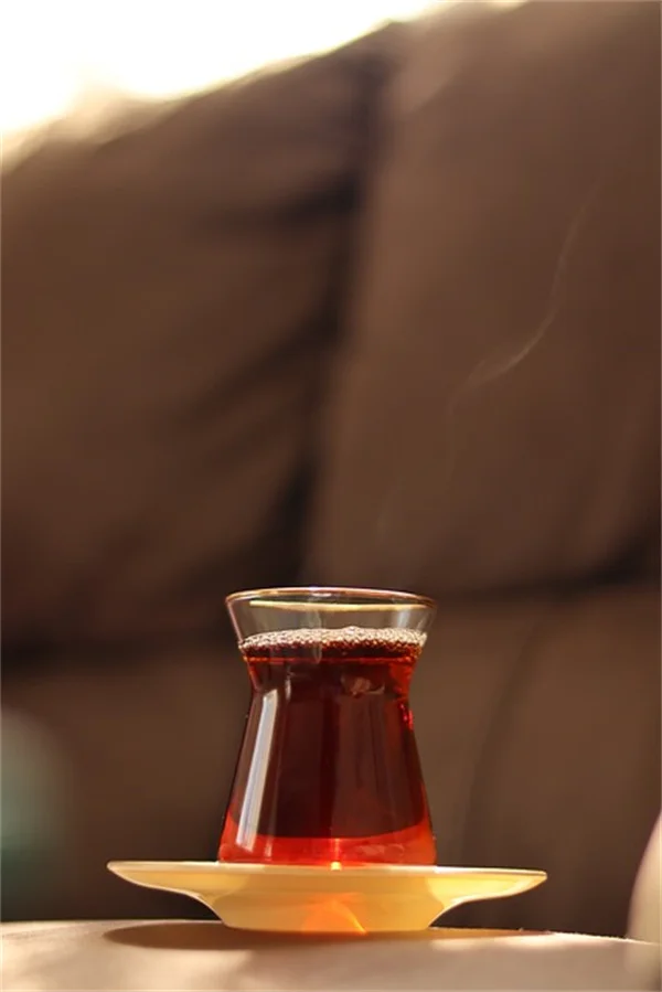 触接触症で苗が激変！30秒撫でるだけで茎が太くなる驚きの方法